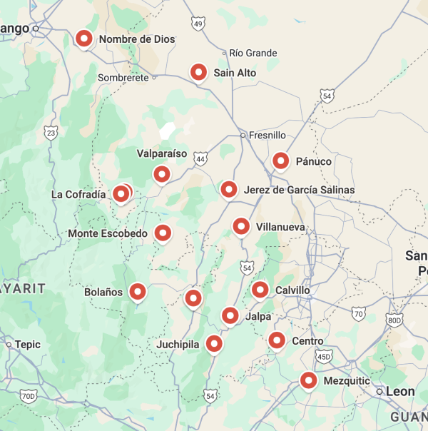 Zacatecas mining-family network